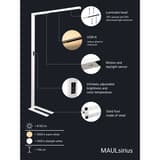 Lampadaire LED, température réglable sirius blanc MAUL - Lampadaire LED MAULsirius blanc, dimensions