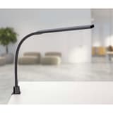 Lampe de bureau LED à pince, 4 niveaux pirro noir MAUL - Lampe de bureau LED à pince MAULpirro noir, en situation