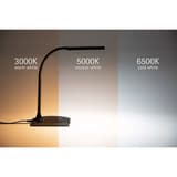 Lampe de bureau LED, température réglable pearly colour vario noir MAUL - Lampe LED MAULpearly colour vario noir, dimensions