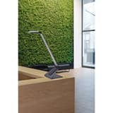 Lampe de bureau LED, garantie 5 ans solaris argent MAUL - Lampe de bureau LED MAULsolaris argent, en situation