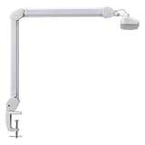 Lampe de travail LED dimmable à pince, 2920 lux intro blanc MAUL - Lampe de travail LED à pince MAULintro blanc, détail