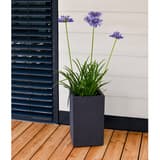 Colonne à plantes, décor béton BASALT'UP carré haut 50 cm anthracite POÉTIC - Colonne à plantes Poétic BASALT'UP carré haut 50 cm anthracite, en situation devant une façade