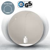 Ballon d'assise, anti-roulis Ergo Active Ø 65 cm gris LEITZ - Ballon d'assise LEITZ Ergo Active Ø 65 cm gris, système anti-roulis