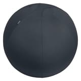 Ballon d'assise, anti-roulis Ergo Active Ø 65 cm gris foncé LEITZ - Ballon d'assise LEITZ Ergo Active Ø 65 cm gris foncé, vue d'ensemble