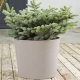Pot de fleurs conique, aspect calcaire ELEMENT conique Ø 40 cm calcaire POÉTIC - Pot de fleurs conique Poétic ELEMENT conique Ø 40 cm calcaire, en situation sur une terrasse