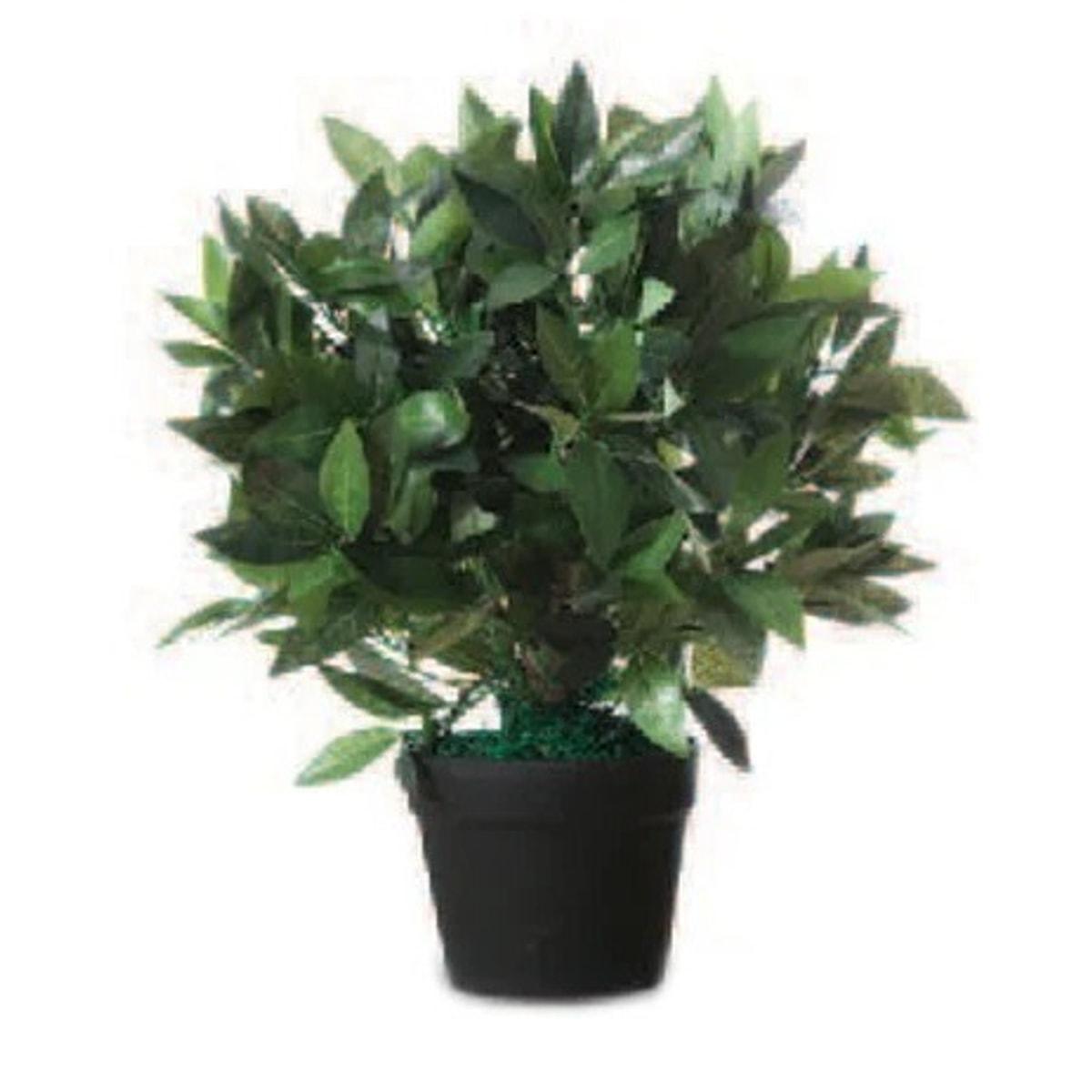 Plante artificielle PAPERFLOW Laurier 50 cm, vue d'ensemble