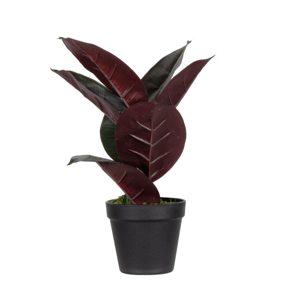 Plante artificielle PAPERFLOW Caoutchouc 36 cm, vue d'ensemble