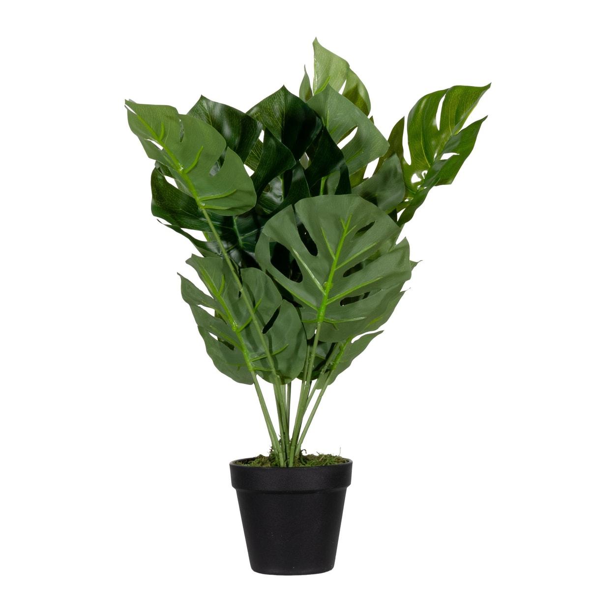 Plante artificielle PAPERFLOW Monstera 45 cm, vue d'ensemble
