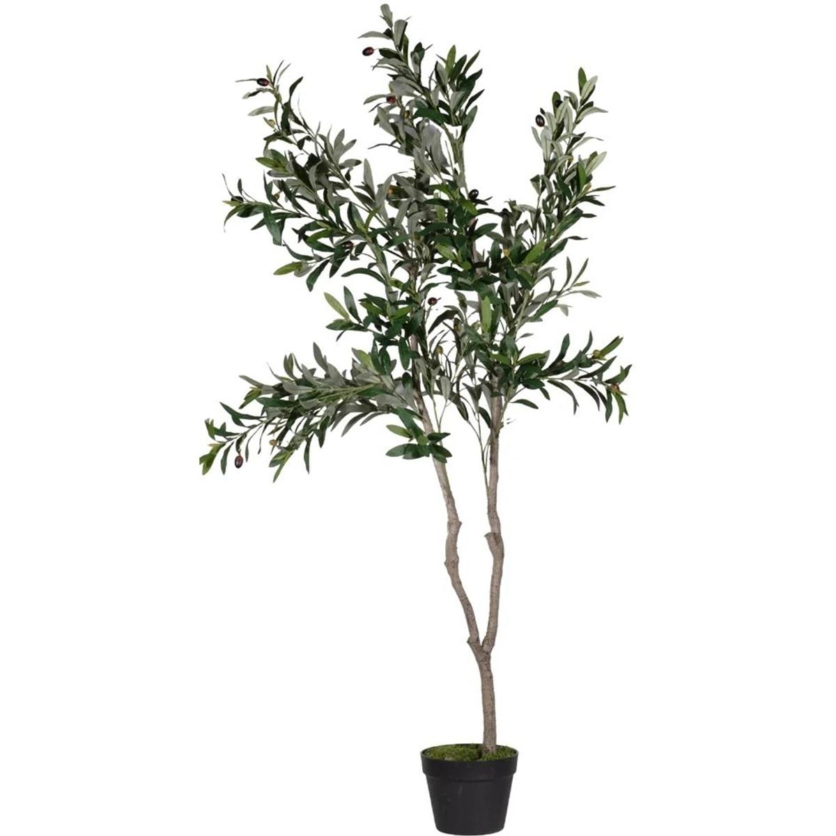 Plante artificielle PAPERFLOW Olivier 1,55 m, vue d'ensemble
