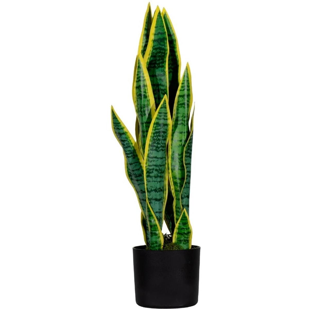 Plante artificielle PAPERFLOW Sansevieria 65 cm, vue d'ensemble