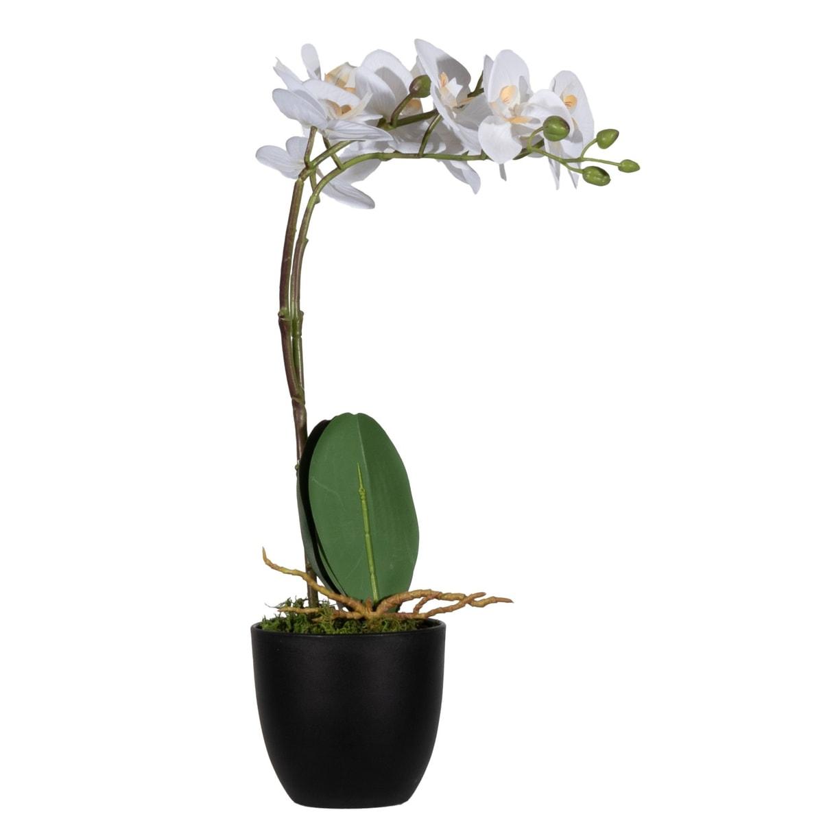 Plante artificielle PAPERFLOW Orchidée 40 cm, vue d'ensemble