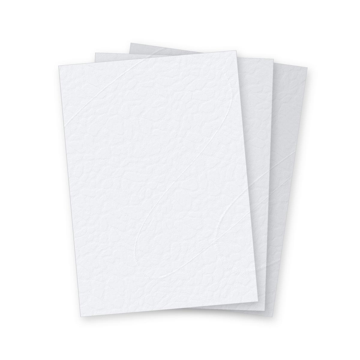 Couverture de reliure cartonnée A4 Couvertures grain cuir blanc 250 g A4 FALCON K - Couvertures cartonnées grain cuir Falcon K blanc A4, illustration