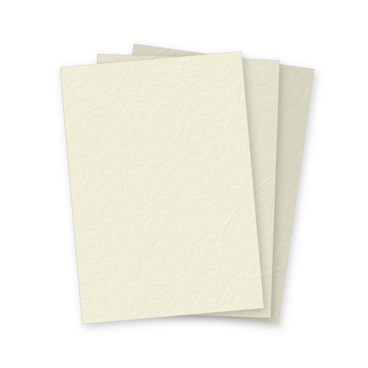 Couverture de reliure cartonnée A4 Couvertures grain cuir ivoire 250 g A4 FALCON K - Couvertures cartonnées grain cuir Falcon K ivoire A4, illustration