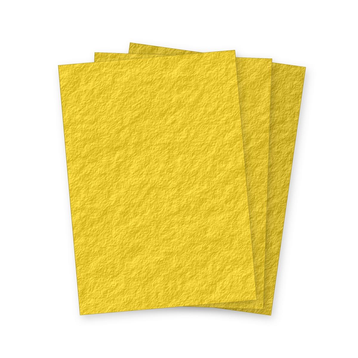 Trois couvertures cartonnées grain cuir jaunes Falcon K A3 250 g en éventail