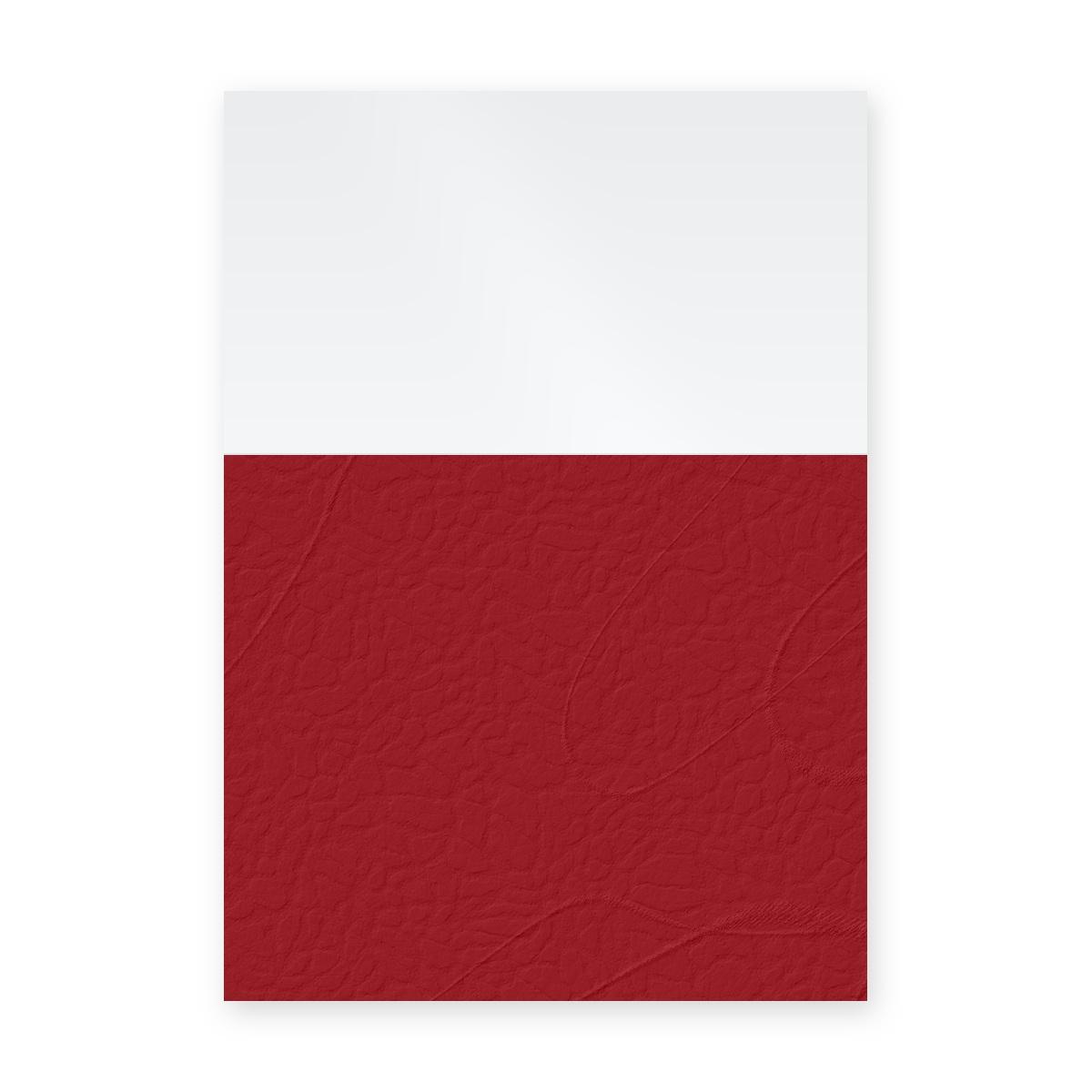 Couvertures d'emboîtage dos carré collé A4 Falcon K à dos grain cuir rouge et face transparente, illustration