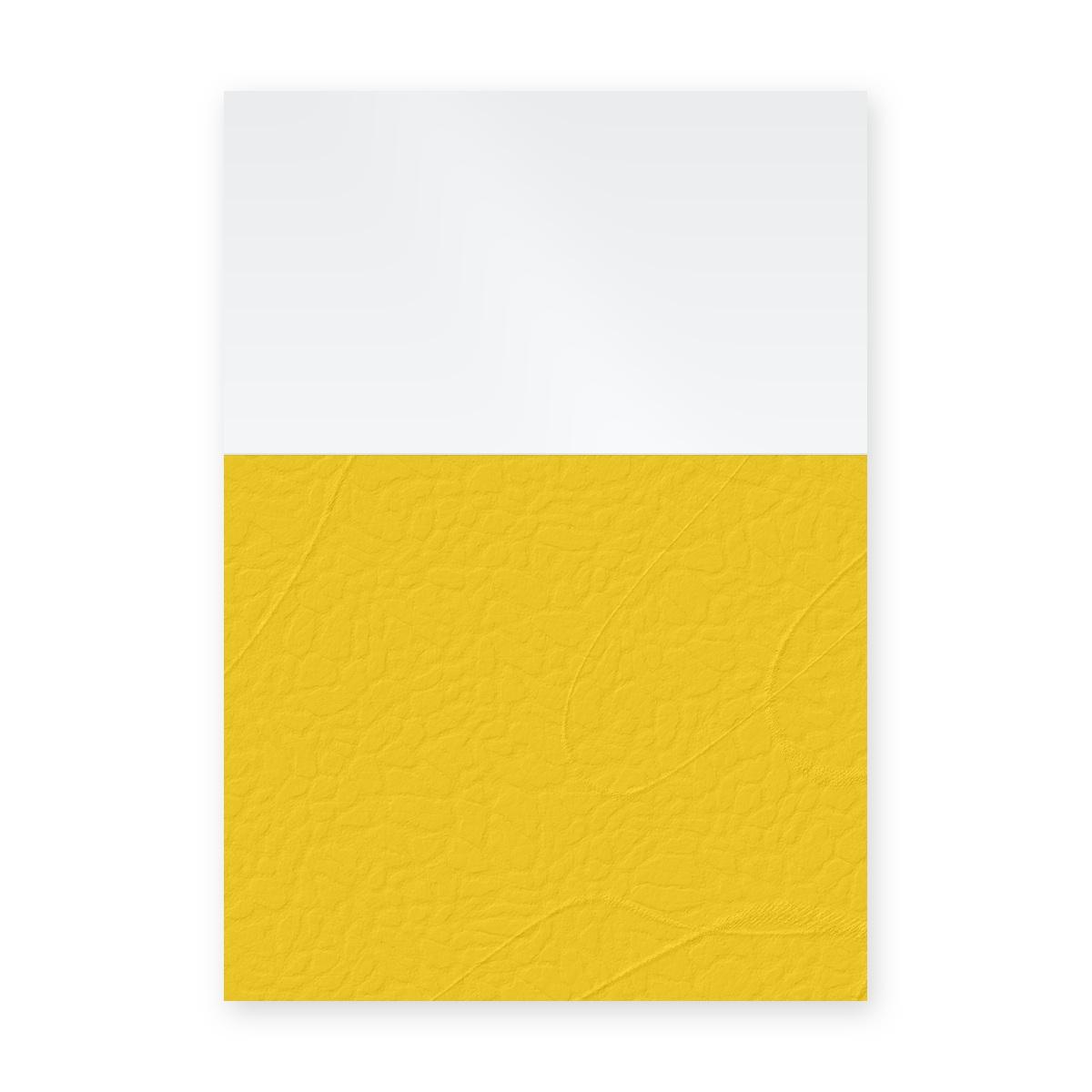 Couvertures d'emboîtage dos carré collé A4 Falcon K à dos grain cuir jaune et face transparente, illustration