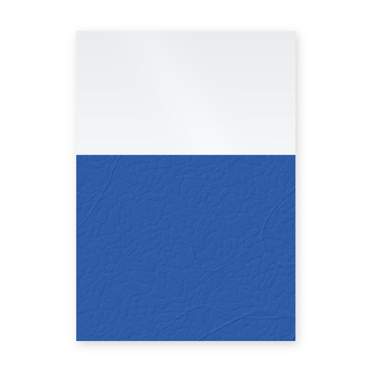 Couvertures d'emboîtage dos carré collé A4 Falcon K à dos grain cuir bleu de France et face transparente, illustration