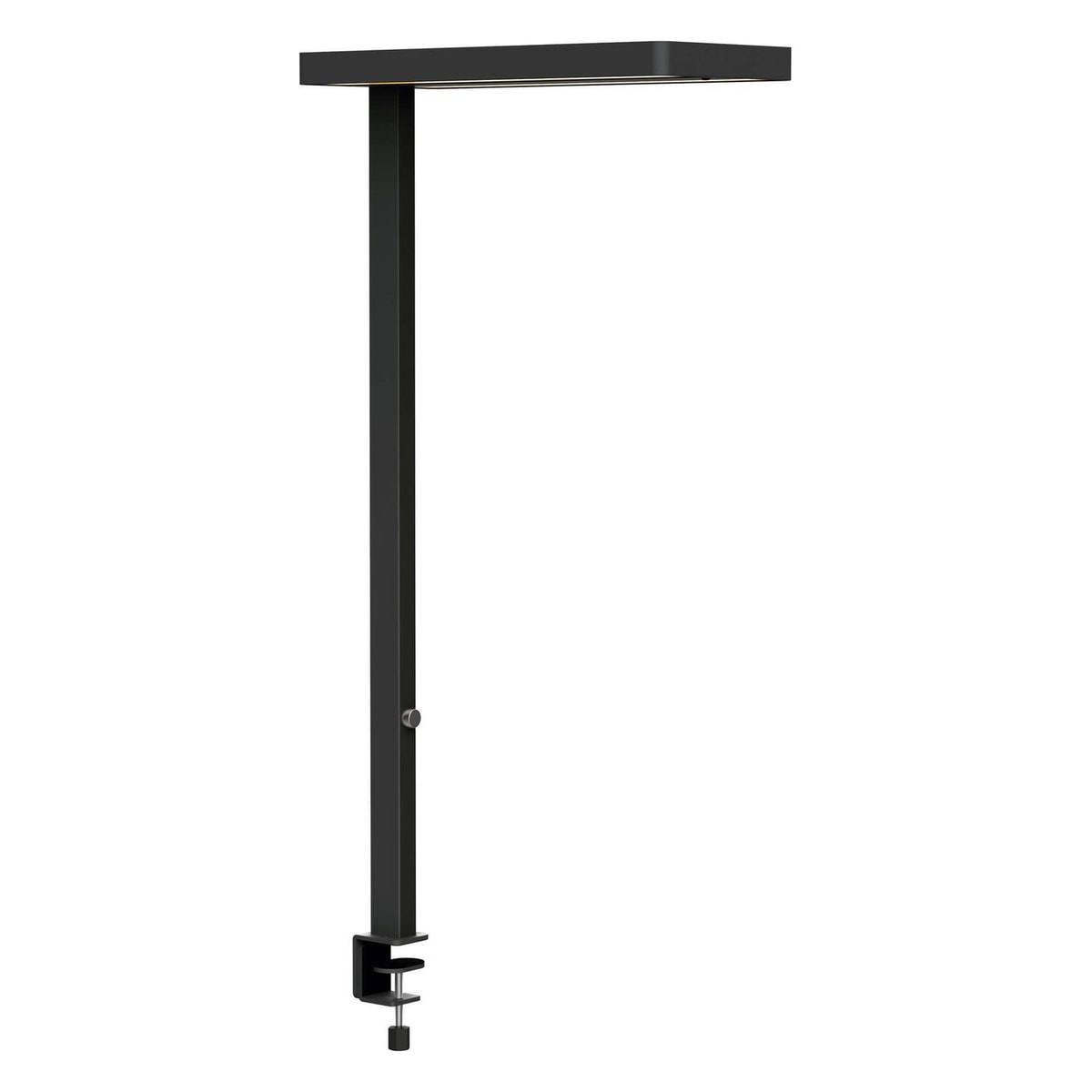 Lampadaire LED à pince, détecteur de présence juvis sensor à pince noir MAUL - Lampadaire LED à pince MAULjuvis sensor noir, vue d'ensemble