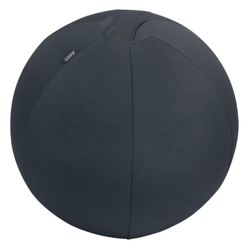 Ballon d'assise, anti-roulis Ergo Active Ø 55 cm gris foncé LEITZ - Ballon d'assise LEITZ Ergo Active Ø 55 cm gris foncé, vue d'ensemble