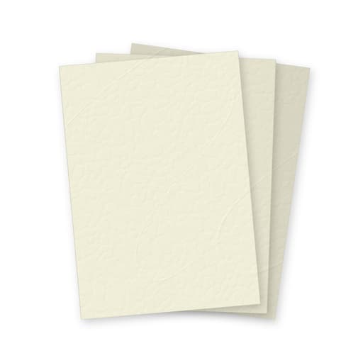 Couverture de reliure cartonnée A4 Couvertures grain cuir ivoire 250 g A4 FALCON K - Couvertures cartonnées grain cuir Falcon K ivoire A4, illustration
