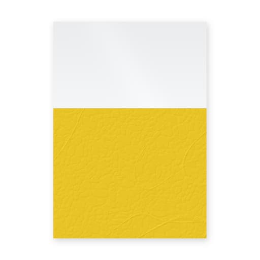 Couverture de reliure dos carré collé A4 Couvertures d'emboîtage dos grain cuir jaune 180 g A4 FALCON K - Couvertures d'emboîtage dos carré collé A4 Falcon K à dos grain cuir jaune et face transparente, illustration